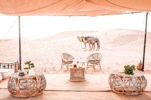 10 reasons why you need the entertainer as a tourist in dubai