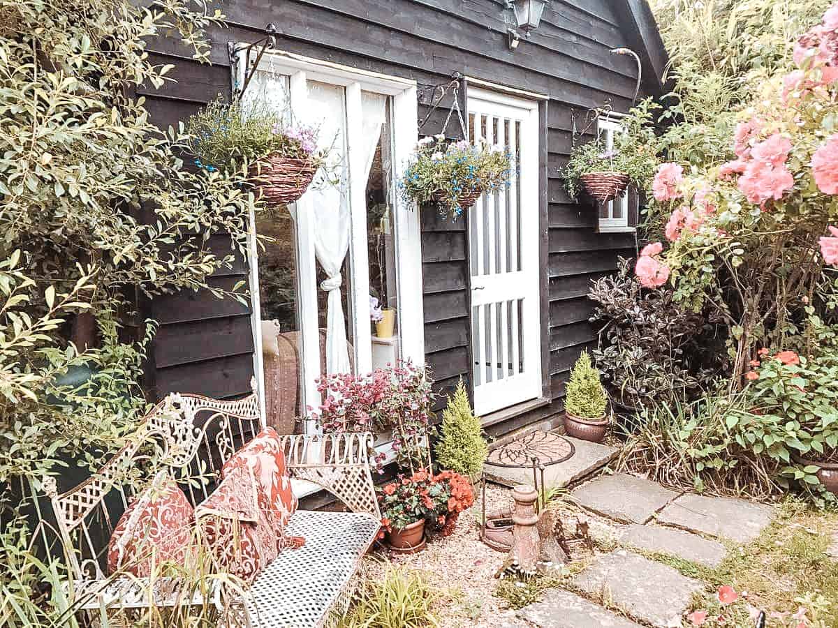 Best Dog Friendly New Forest Hotels in 2022!