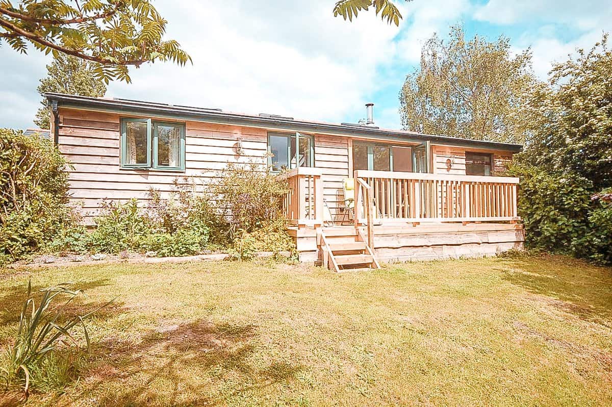 Best Dog Friendly New Forest Hotels in 2022!