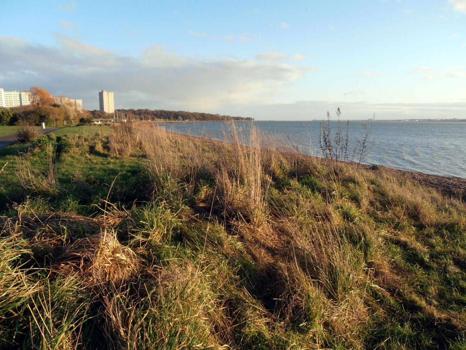 Your Guide to Southampton's Best Beaches for Sun and Fun