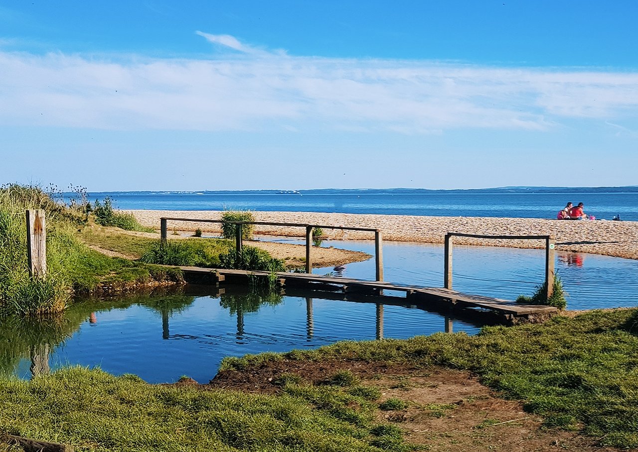 Your Guide to Southampton's Best Beaches for Sun and Fun