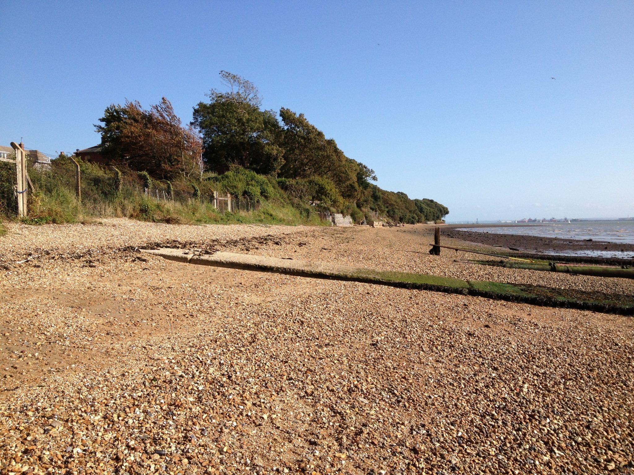 Your Guide to Southampton's Best Beaches for Sun and Fun