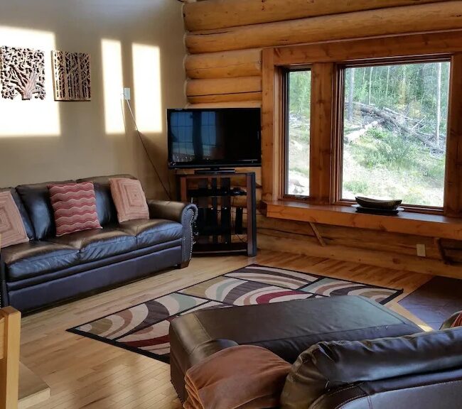 best airbnb breckenridge log cabin living room sofa