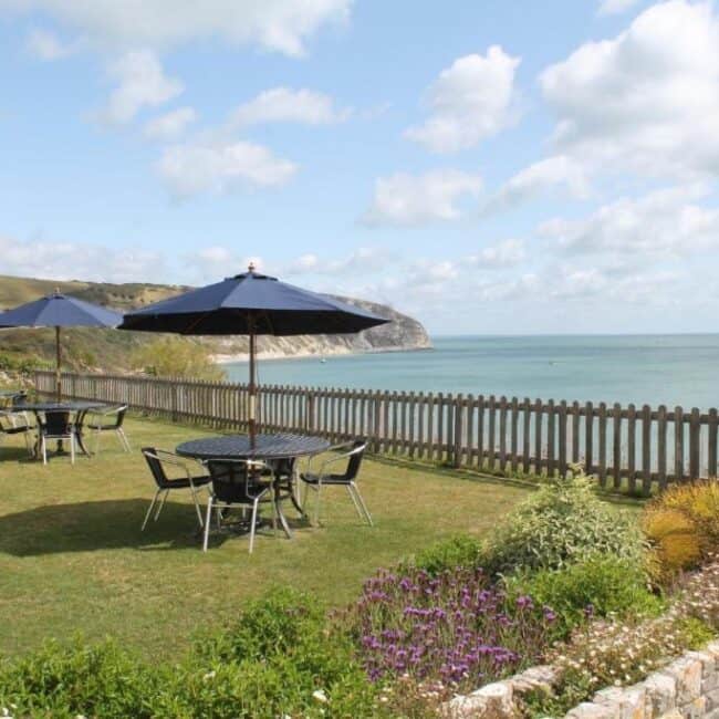 Best hotels in Studland pines view