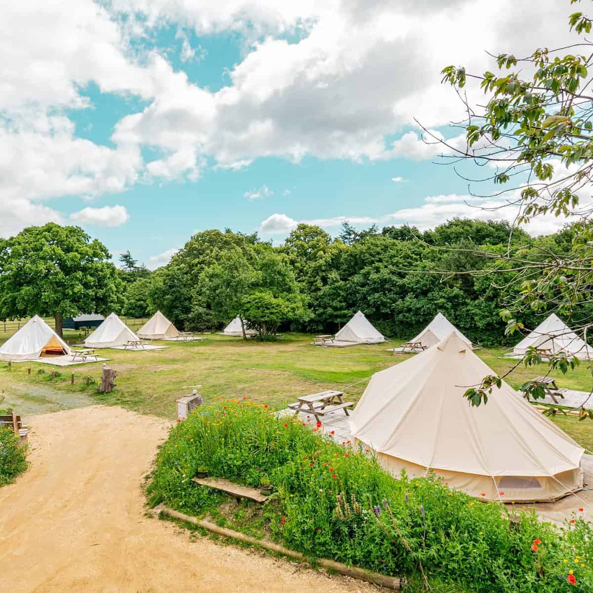 Camping near Southampton The 10 Best Places to Set Up Camp
