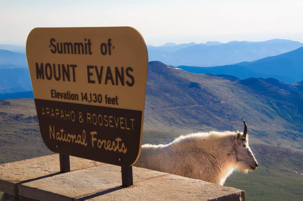 best day trips from denver mount evans