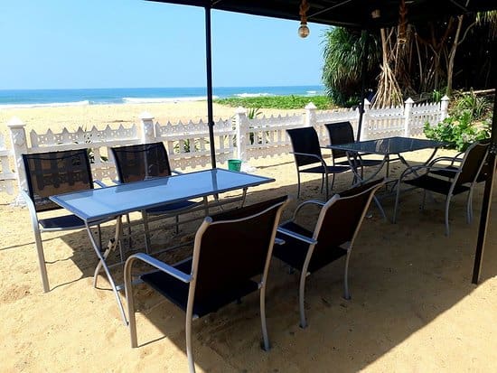 bolgoda hotel surf deck resort beach