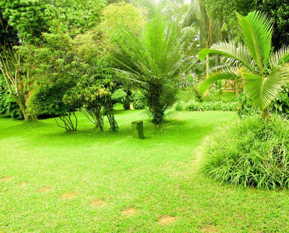 Panadura Hotels Seilka Ayurveda garden