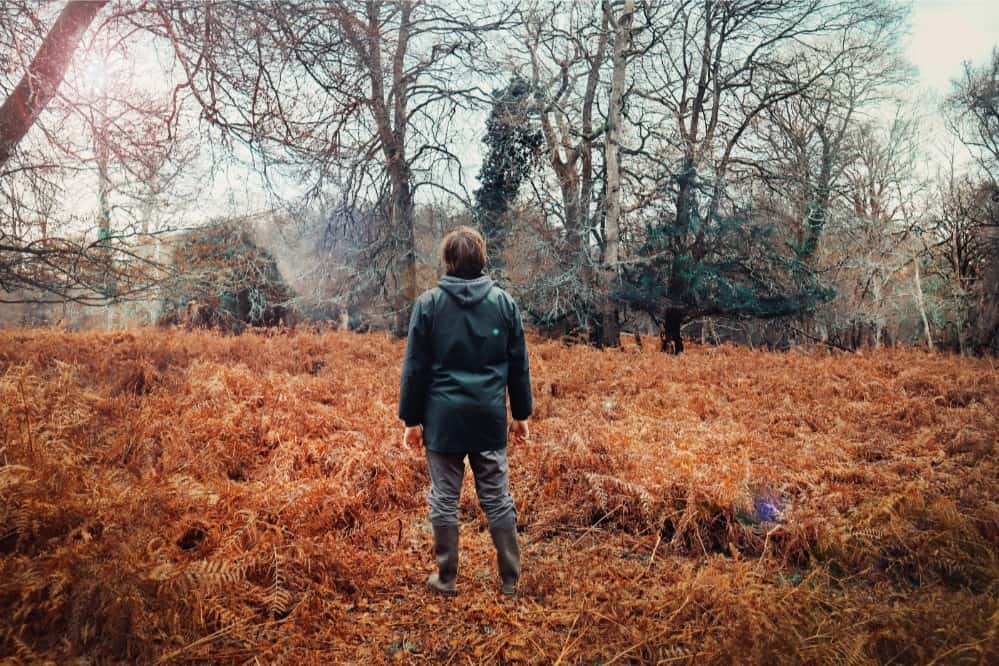 New Forest Guide