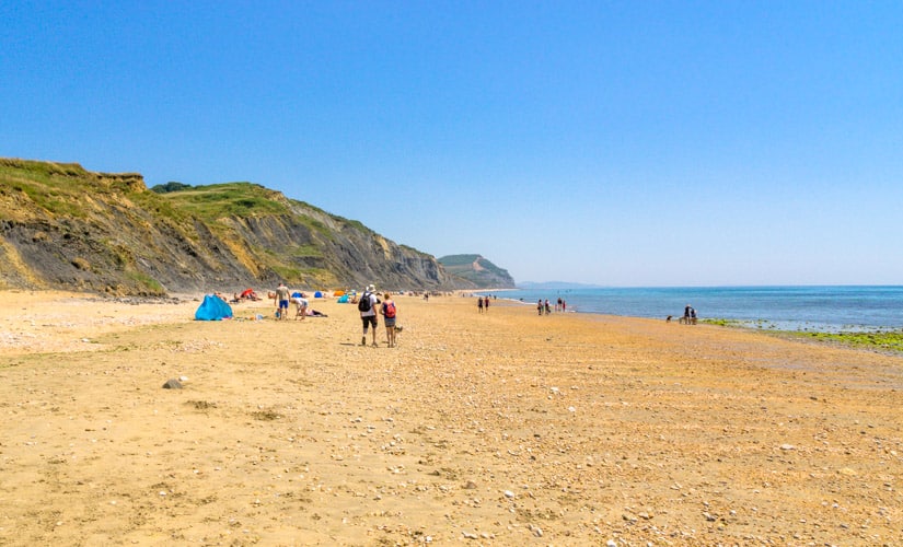charmouth beach guide for holidays