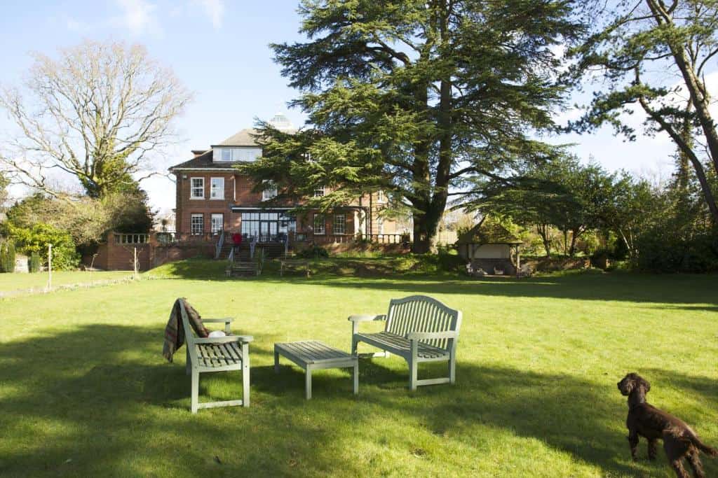 dog friendly hotels new forest
