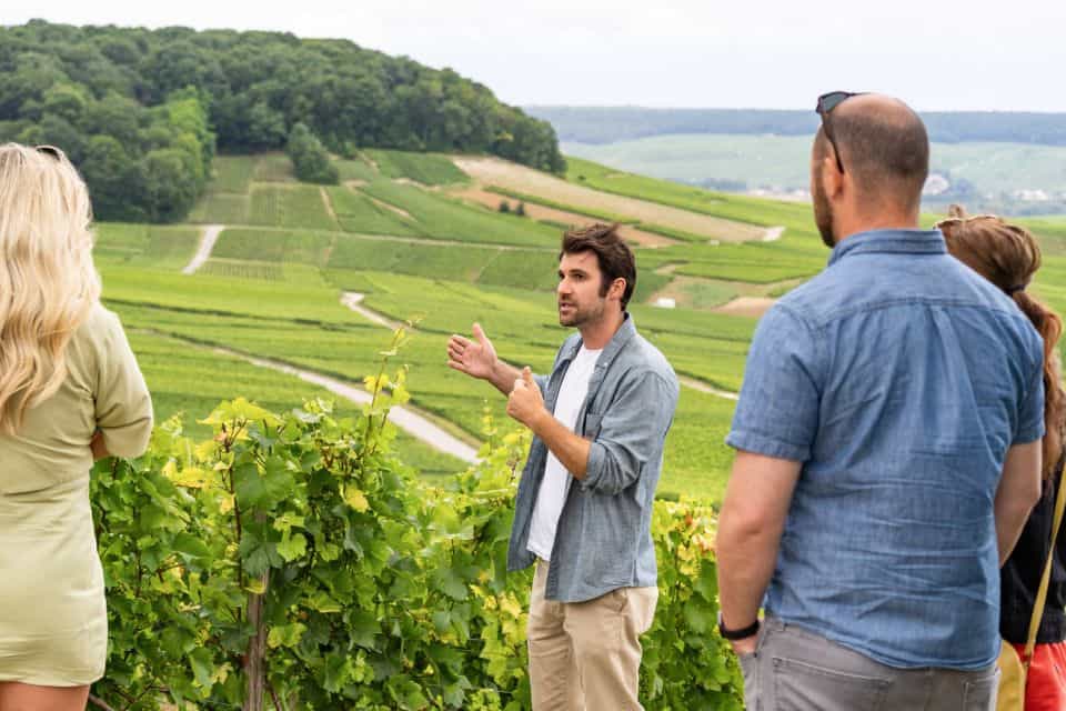 A group of people standing in a vineyard.