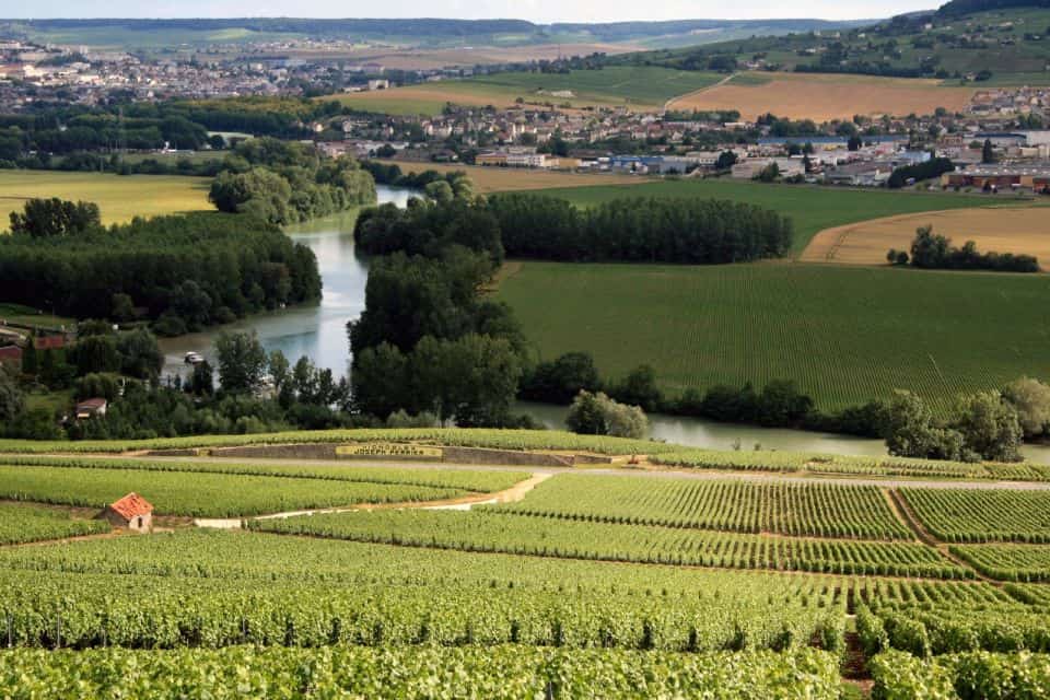 A view of a vineyard and a river.