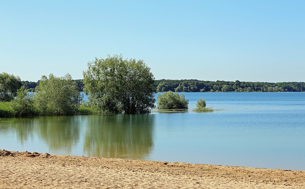 A lake surrounded by trees and a sandy beach, perfect for outdoor activities like swimming and picnicking in Troyes.